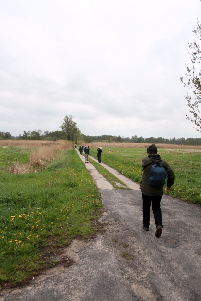 VWG vogelreis Oost Duitsland mei 2010 321